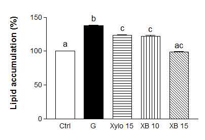 Effect of xylobiose and xylose on 3T3-L1 cell lipid accumulation