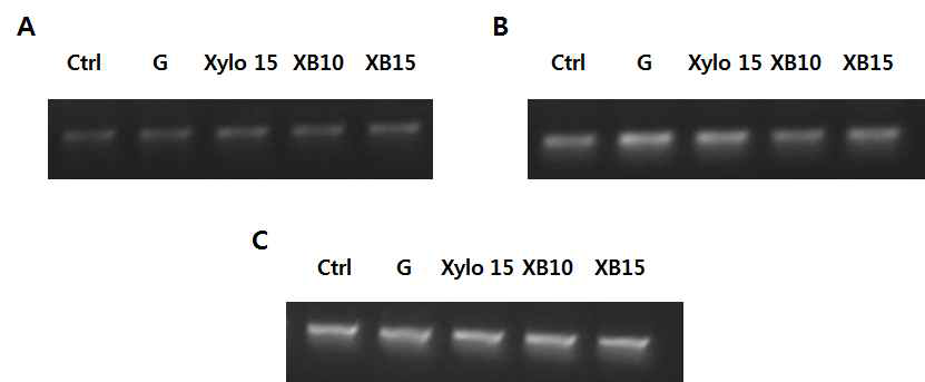 Effect of xylobiose and xylose on mRNA levels of inflammatory cytokines in 3T3-L1 cell