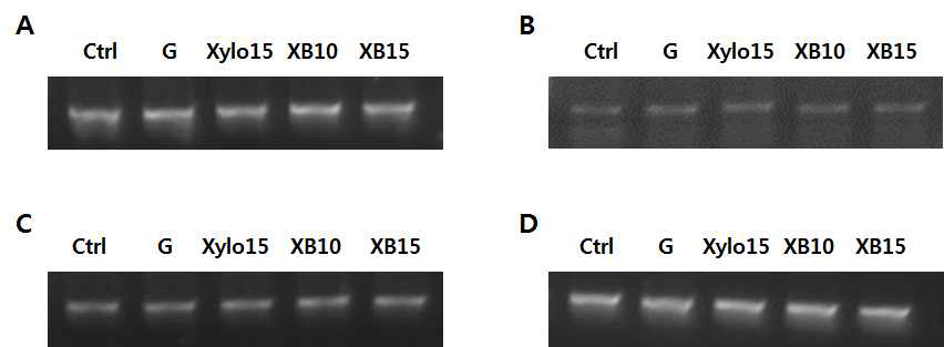 Effect of xylobiose and xylose on mRNA levels of lipogenesis markers in 3T3-L1 cell