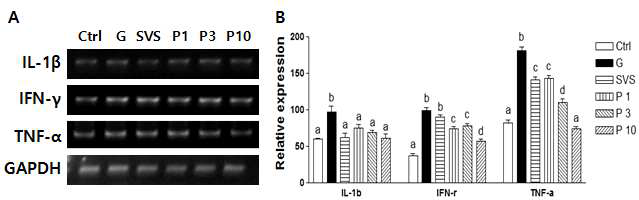 Effect of phyllodulcin on mRNA levels of inflammatory cytokines in 3T3-L1 cell.