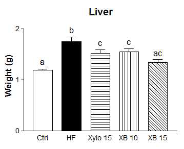 Effect of xylobiose on liver weight in high fat-induced obese mice.