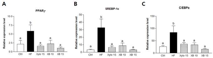 Effect of xylobiose, xylose on lipogenesis marker mRNA expressions of liver in fat-induced obese mice