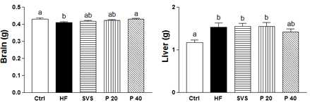 Effect of xylobiose, xylose on organ weight in high fat-induced obese mice