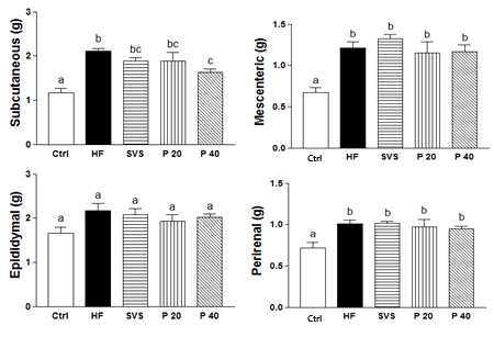 Effect of phyllodulcin on fat tissue weight in high fat-induced obese mice