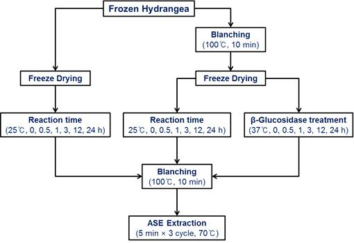 Experimental design for elucidation of phyllodulcin biosynthesis from phyllodulcin glucoside via β-glucosidase reaction.