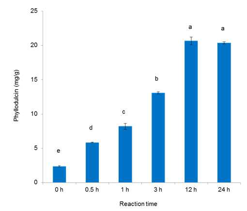 Phyllodulcin contents in methanol extracts of non-blanched and lyophilized hydrangea leaves with water addition for 24 h reaction at 25°C.