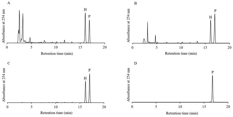 Analytical HPLC chromatogram of 75% ethanol extract of hydrangea leaves (A), effluent from mixed bed ion exhcnagers (B), effluent from ODS column (C), purified phyllodulcin by preparative HPLC (D). Peak H, Hydrangenol; peak P, Phyllodulcin