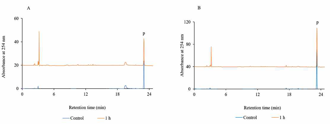 Analytical HPLC chromatogram of transglycoslyration of phyllodulcin 0.004% (A) and phyllodulcin 0.0008% (B).