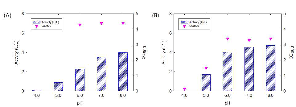 Optimum pH of Y01(A) and B01(B) on β-xylosidase expression.