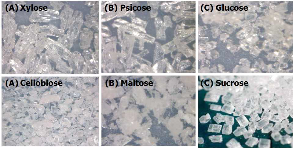 Image of crystal monosaccharide and disaccharide