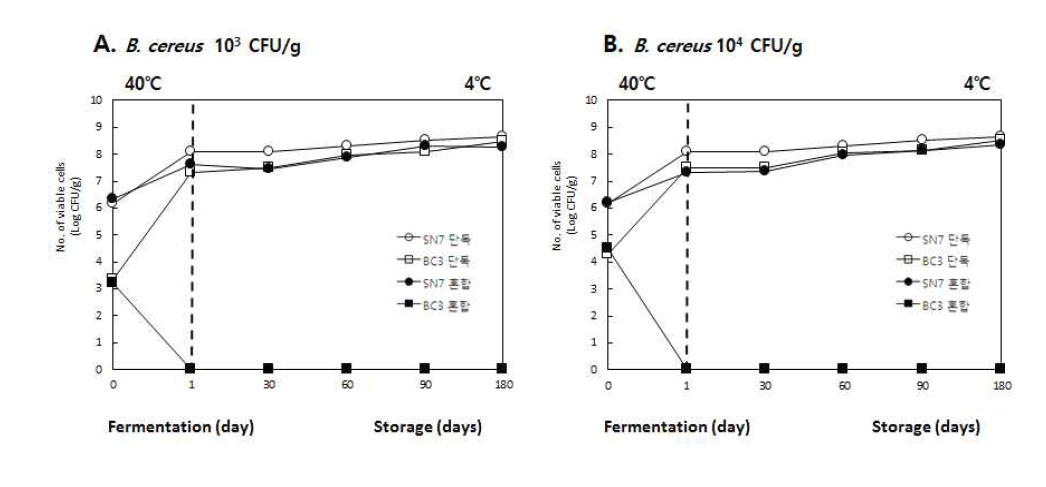 Bacillus subtilis SN7과 Bacillus cereus 포자를 공동 접종한 청국장의 균수 변화