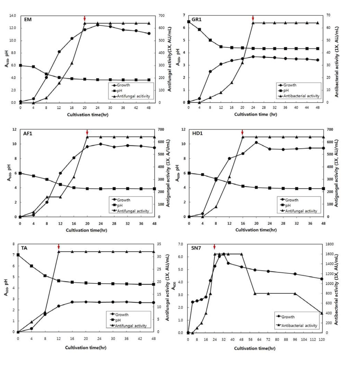 최적 배양조건에서 항균활성 균주의 생육시간에 따른 생육곡선 및 항균활성