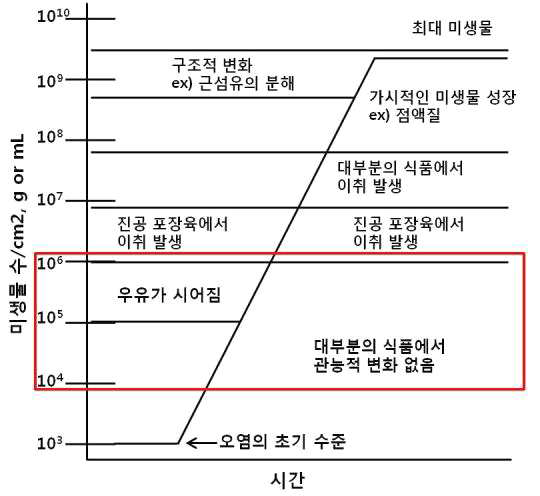 부패 세균의 성장과 부패현상