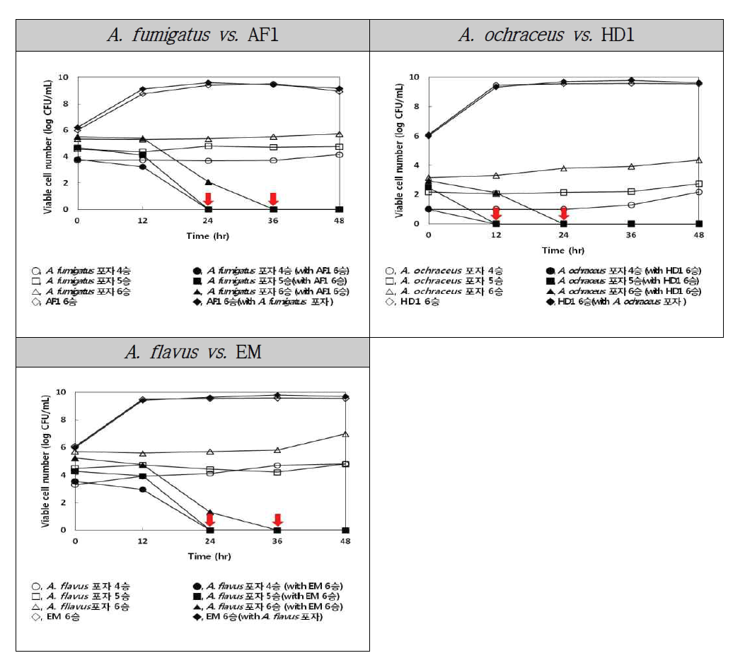 천연항균물질 생산균주와 식중독/부패 곰팡이의 공동배양에 의한 생육 저해 효과