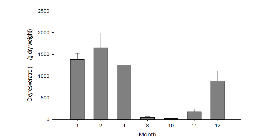 상지의 채집시기별 oxyresveratrol의 역가 변화