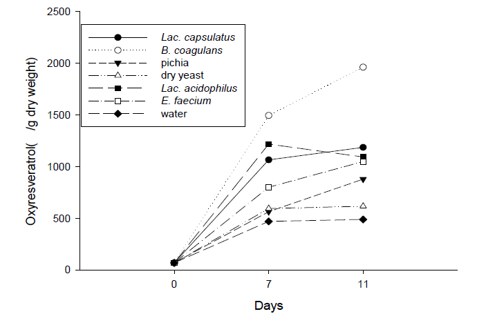 미생물을 이용한 숙성에 따른 oxyresveratrol 함량 변화