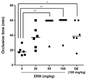 in vivo antithrombotic effect of ERM and Gingko extract.