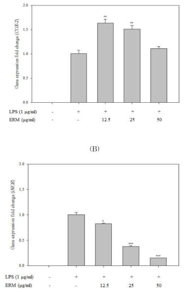 Real-time PCR