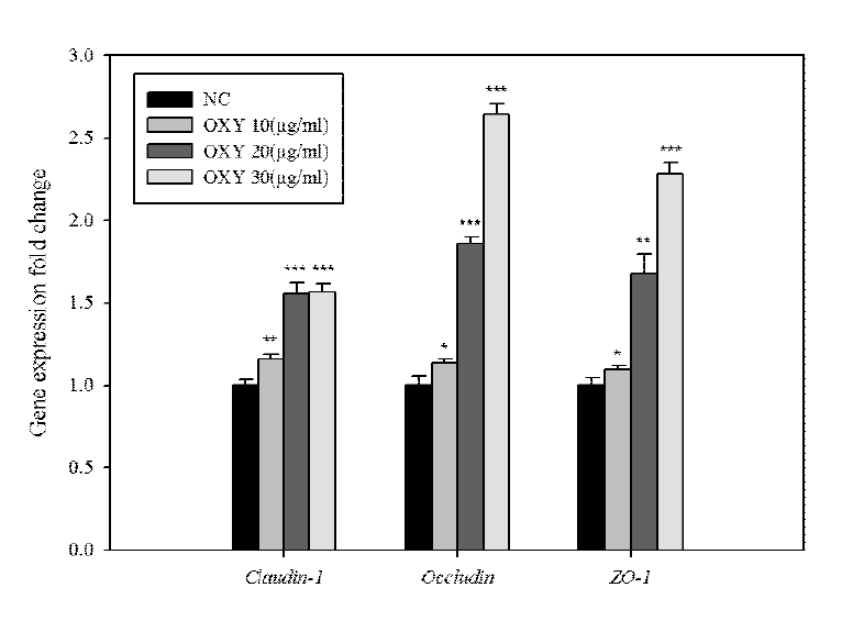 Oxyresveratrol의 tight junction 관련 유전자 (Claudin 1, Occludin, ZO-1)의 발현량 변화.