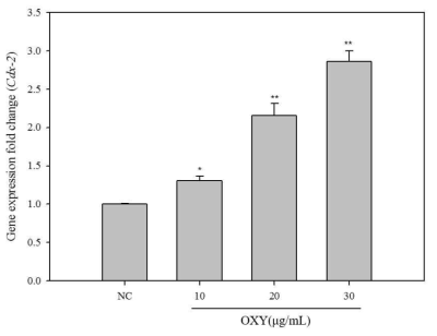Oxyresveratrol의 유전자의 발현량 변화.