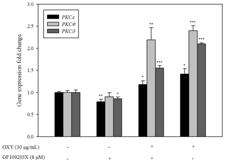 PKC 경로억제제의 PKC 경로 관련 유전자의 발현량 변화.