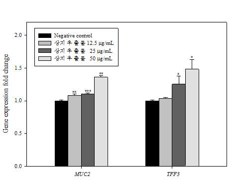 상지추출물의 MUC2 와 TFF3의 유전자 발현량 변화.