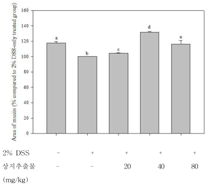 상지추출물에 의한 뮤신 발현량의 변화