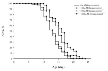 Oxyresveratrol에 의한 C. elegans의 수명연장효과.