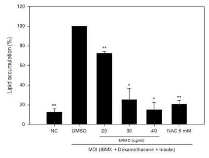 Quantified ORO-stained intracellular lipids.