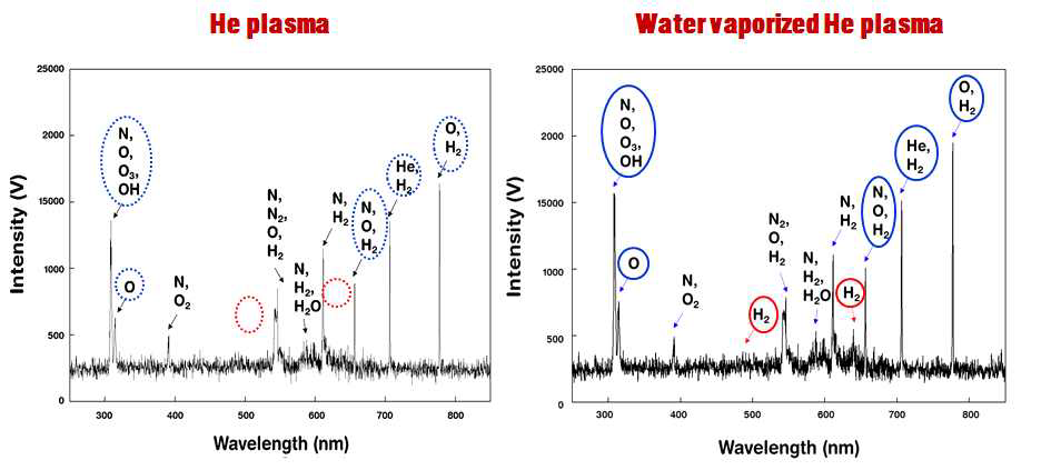 Optical emission spectra during the helium dielectric discharge barrier CP treatment without (A) and without (B) water vaporization after 20 min exposure (250-850 nm).