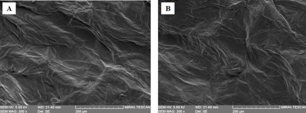 Effects of the water vaporization-combined CP treatment on onion powder surface SEM