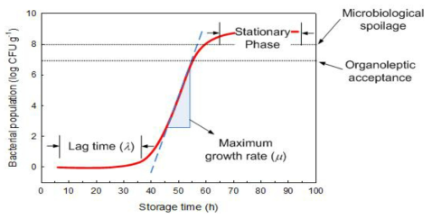 세균성장 성장 곡선 및 성장특성
