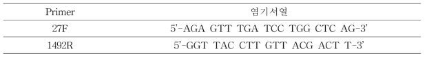 두부에서의 검출된 B. cereus, S. aureus 동정을 위한 16S rRNA sequencing 프라이 머 염기서열