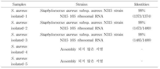 16S rRNA sequencing을 이용한 쇠고기에서의 S. aureus 분리균주 동정 결과