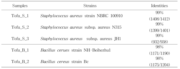 16S rRNA 염기서열 분석을 통한 두부 분리 S. aureus, B. cereus 균주의 동정