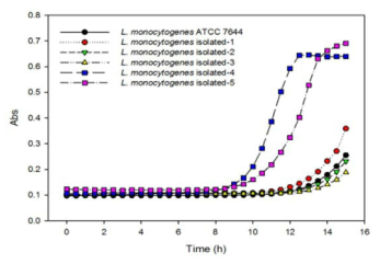 흡광도를 이용한 30℃에서의 TSB 내 L. monocytogenes 표준균주 및 분리균주의 성장 예측