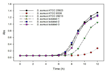 흡광도를 이용한 37℃에서의 TSB 내 S. aureus 표준균주 및 분리균주의 성장 예측