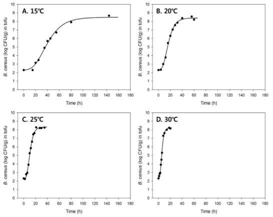 온도에 따른 두부 내 B. cereus의 성장곡선
