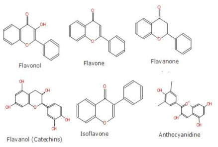 플라보노이드 화합물의 화학적 구조