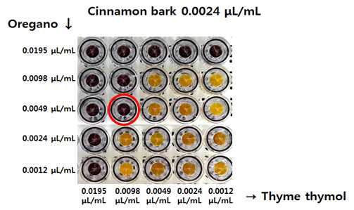 기체 checkerboard assay를 이용하여 cinnamon bark 정유, oregano 정유와 thyme thymol 정유 조합 처리에 의한 L. monocytogenes 저해시너지 확인 결과
