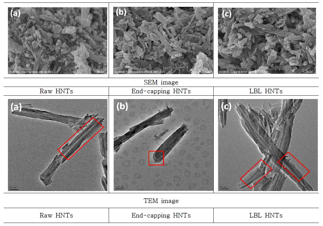 Raw HNts 및 정유 포집 HNTs의 SEM 및 TEM 형상