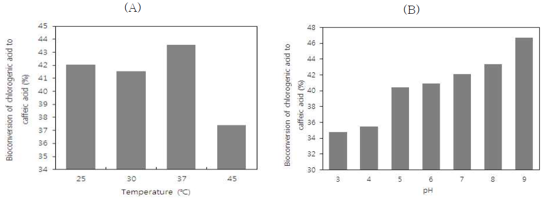 온도에 따른 F46의 CE 활성 비교(A), pH에 따른 F46의 CE 활성 비교(B) CE 활성에 미치는 pH의 영향을 검토하기 위하여 기질인 chlorogenic acid (0.05%, v/v)가 첨가 된 Lactobacilli MRS를 1N NaOH와 1N HCl을 사용하여 각각의 배지를 pH 4에서 pH 9의 범위로 조정하여 전배양한 선택 유산균을 1% (v/v) 접종 한 후 37℃에서 72시간 배양 하였다.
