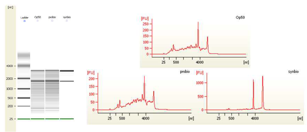 프로바이오틱스 단일처리와 신바이오틱스 혼합처리에 따른 예쁜 꼬마선충 숙주의 total RNA 관련 migration pattern(왼쪽)과 electropherogram을 이용한 peak