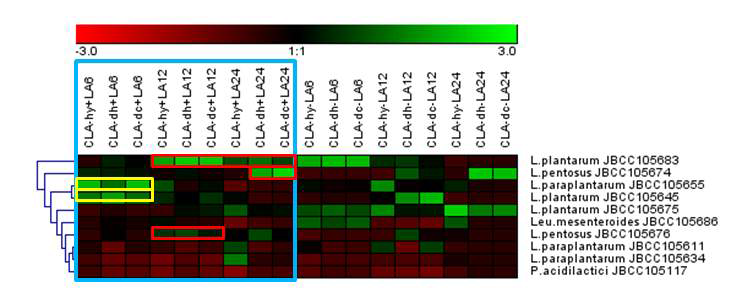CLA 생성 10종의 유산균과 linoleate isomerase (CLA-hy, CLA-dh, CLA-dc)의 시간 별 (6, 12, 24시간) 유전자 발현 상대 정량값과의 상관관계를 묘사한 heatmap의 hierarchical clustering data.
