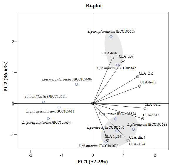 CLA 생성 10종의 유산균과 linoleate isomerase (CLA-hy, CLA-dh, CLA-dc)의 시간 별 (6, 12, 24시간) 유전자 발현 상대 정량값과의 상관관계의 bi-plot 그래프