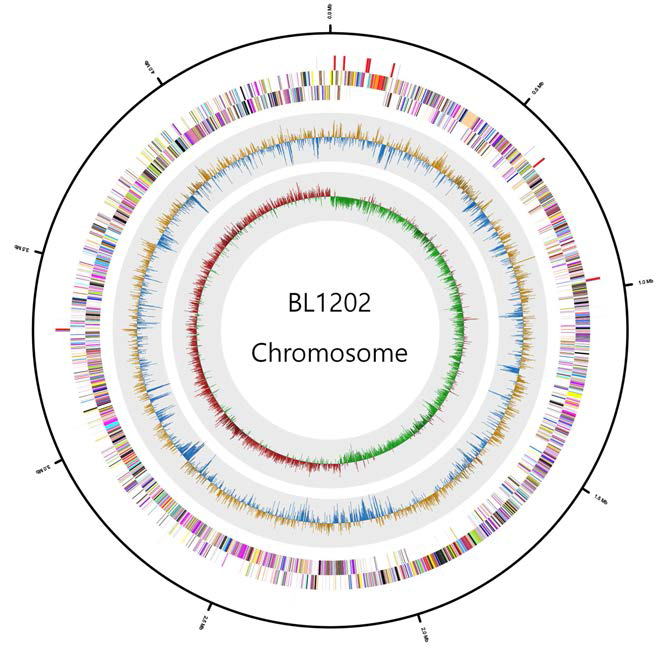 Genomic island (Chromosome), 바깥쪽에서 안쪽방향으로 들어가면서 정방향 CDS, 역방향 CDS, tRNA, rRNA, GC 함량, GC skew 순서.