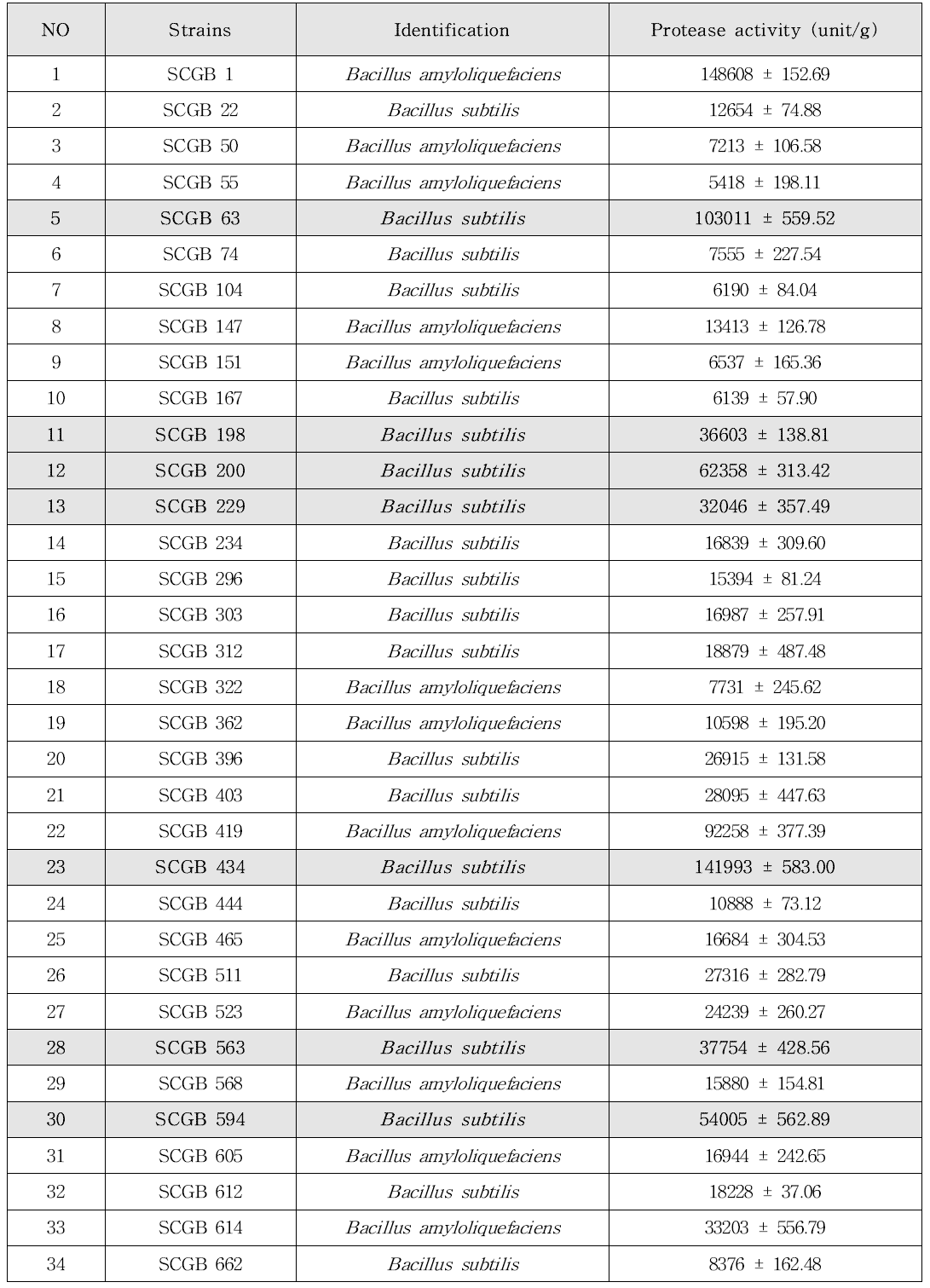 고추장 유래 분리주의 α-Amylase 활성 정량 분석 결과.