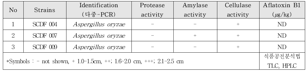 된장 유래 곰팡이 균주에 대한 특성 분석
