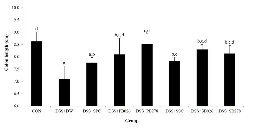 Effect of produced soybean paste and soy sauce in JJDJB-026, SCDB-278 on colon length and histological changes.