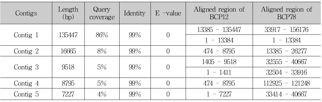 BCP12의 contig 정보와 BCP78과의 유사성